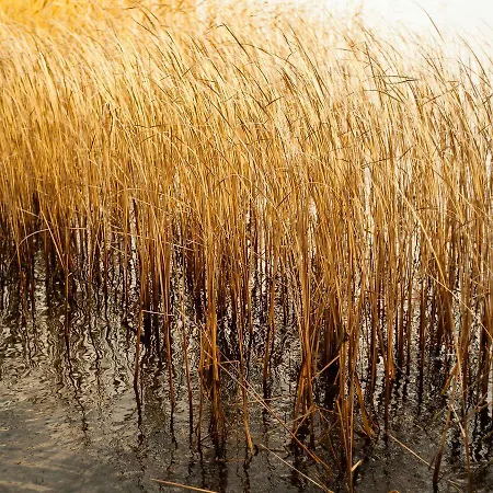 فندق مبيت وإفطار Ecolodge Le Bruit De L'eau