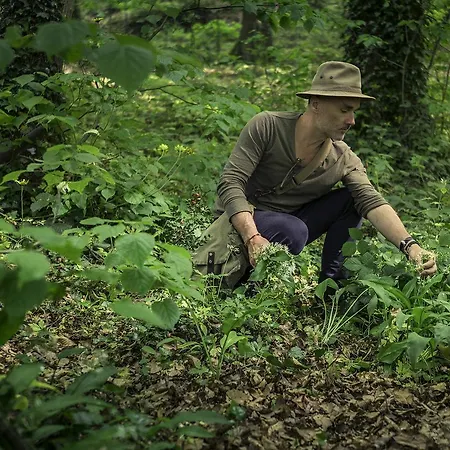 فندق مبيت وإفطار Ecolodge Le Bruit De L'eau 2*