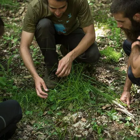 Ecolodge Le Bruit De L'eau فندق مبيت وإفطار سانت كوينتن ان تورمونت