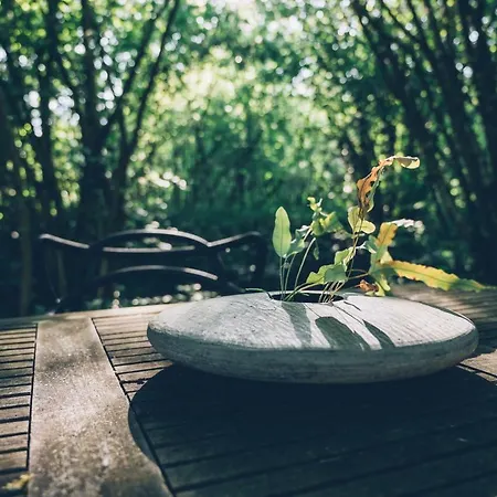 Ecolodge Le Bruit De L'eau فندق مبيت وإفطار سانت كوينتن ان تورمونت