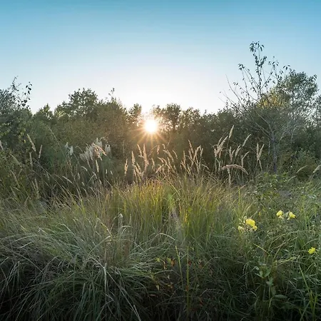 Ecolodge Le Bruit De L'eau Saint-Quentin-en-Tourmont