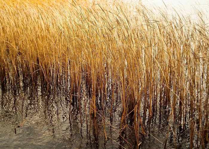 Panzió Ecolodge Le Bruit De L'eau