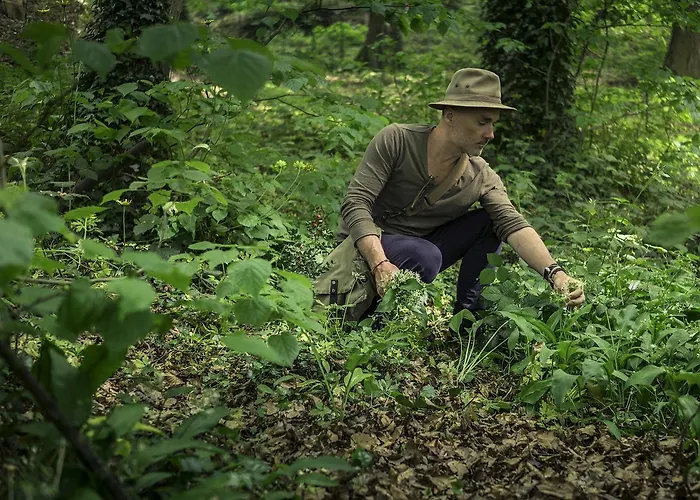 Panzió Ecolodge Le Bruit De L'eau 2*