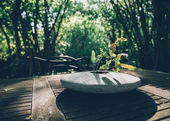 Ecolodge Le Bruit De L'eau Panzió Saint-Quentin-en-Tourmont